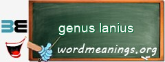 WordMeaning blackboard for genus lanius